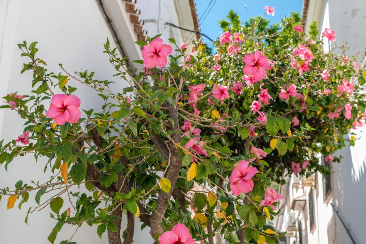 Lovely Cozy 2-Bedroom Residential Home With Patio Benalmádena Eksteriør bilde